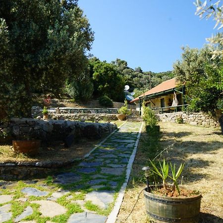 Elpida Country House -Paleochora-Anidri Kültér fotó